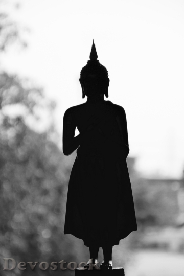 Devostock Bangkok Buddha Gold Meditation 1