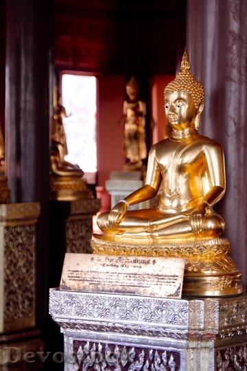 Devostock Bangkok Buddha Gold Meditation 13