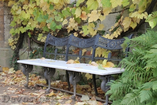 Devostock Bank Autumn Leaves Rest