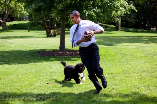 Devostock Barack Obama Bo 2009