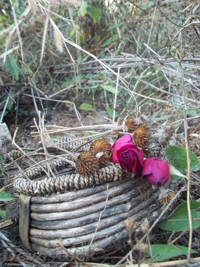 Devostock Basket Roses Sunflower Dead