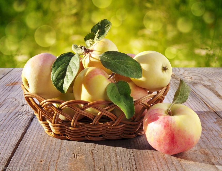 Devostock Basket With Apples