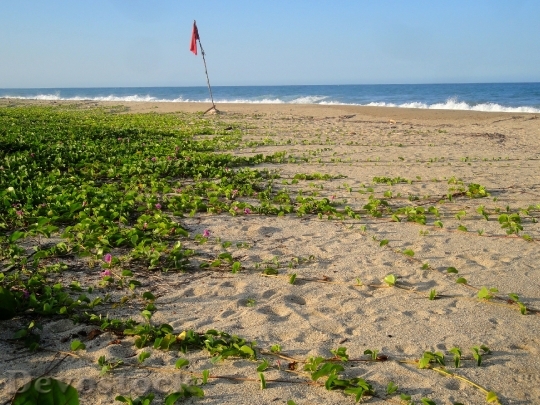 Devostock Beach Sea Rest Unaffected