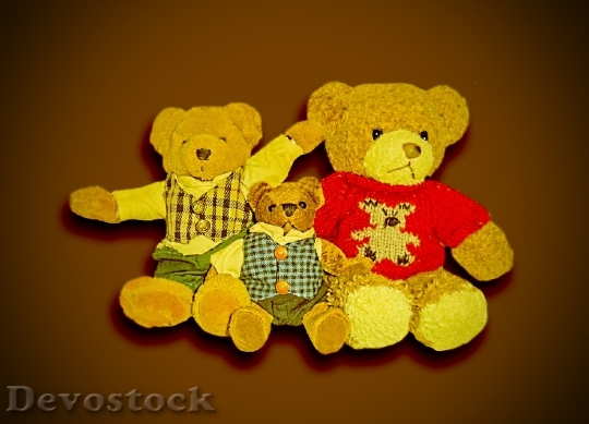 Devostock Bear Teddy Bear Brown 0
