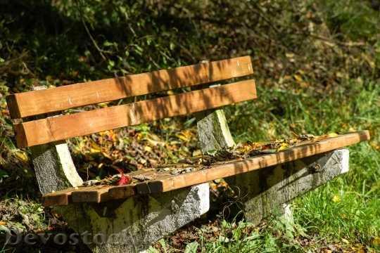 Devostock Bench Wood Rest Fall