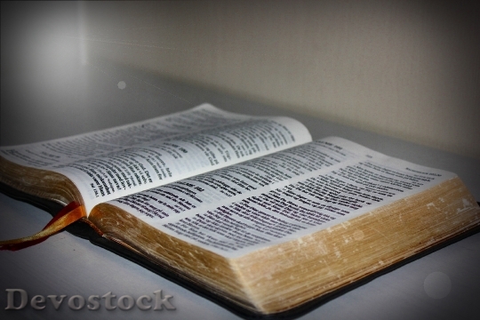 Devostock Bible Bible Light Book