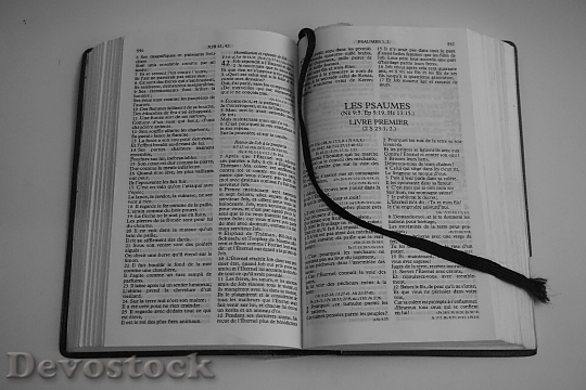 Devostock Bible Religion Reading Bible