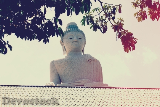 Devostock Big Buddha Phuket Thailand