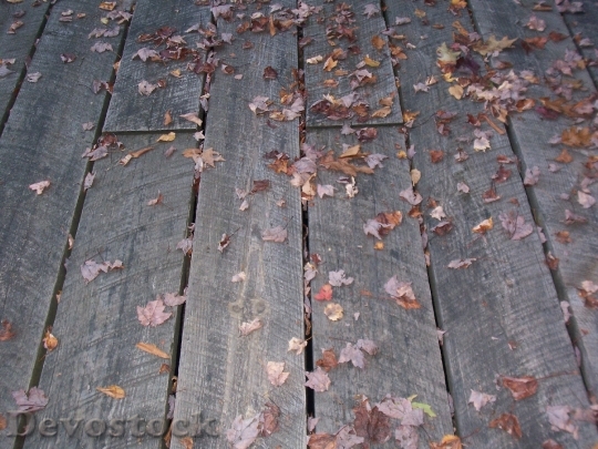 Devostock Boardwalk Weathered Leaves Autumn