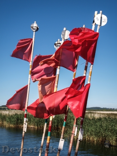 Devostock Booked Sea Flags Reed