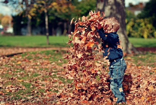 Devostock Boy Playing Leaves Autumn
