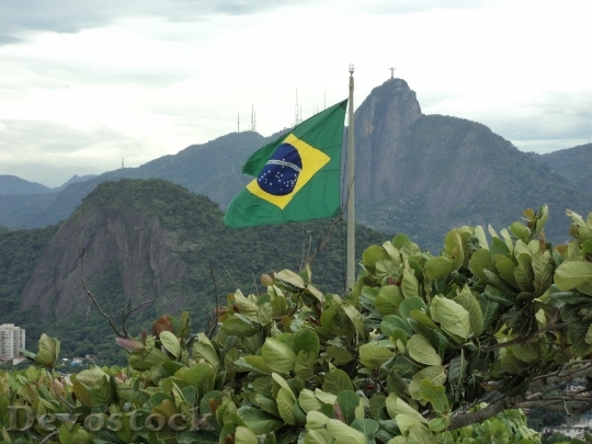 Devostock Brazil Flag Green Flagpole