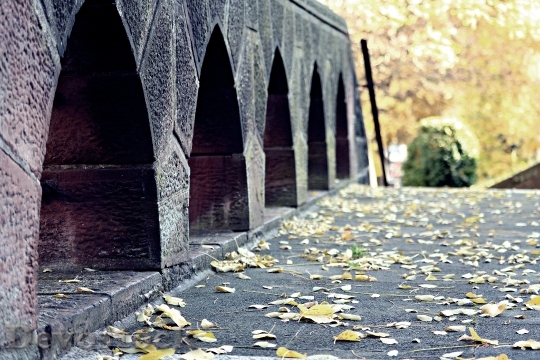 Devostock Bridge Autumn Leaves Forest 0
