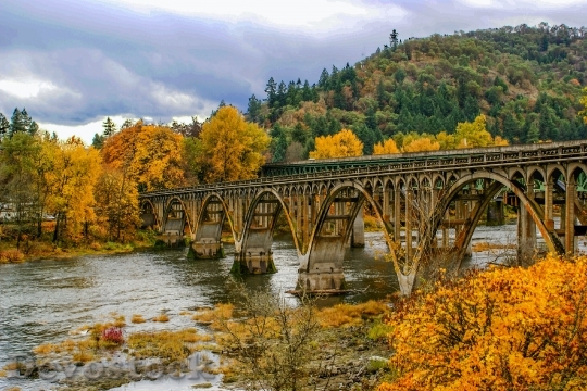 Devostock Bridge Fall River Leaves