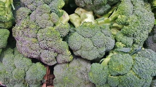 Devostock Broccoli Vegetables Greens 1429150