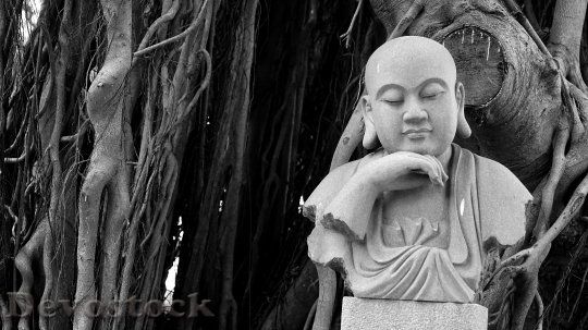 Devostock Buddha Banyan Tree Religion