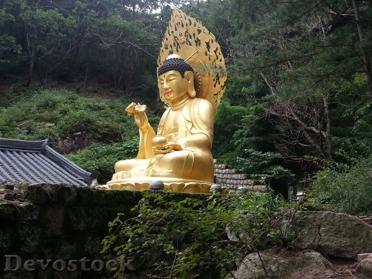 Devostock Buddha Korea Wisdom Asian