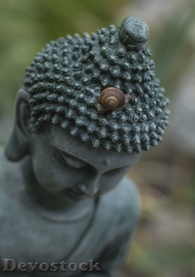 Devostock Buddha Snail Buddhist Religion