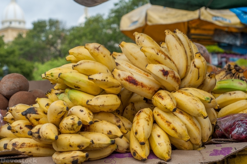 Devostock Bunch Bananas On Sale