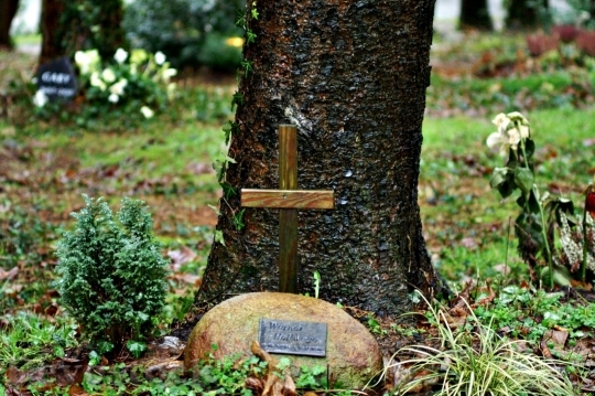 Devostock Burial Cemetery Mourning 79479