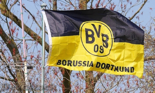 Devostock Bvb Club Flag Black