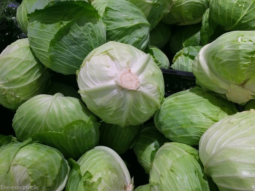Devostock Cabbage Drop Water Fresh