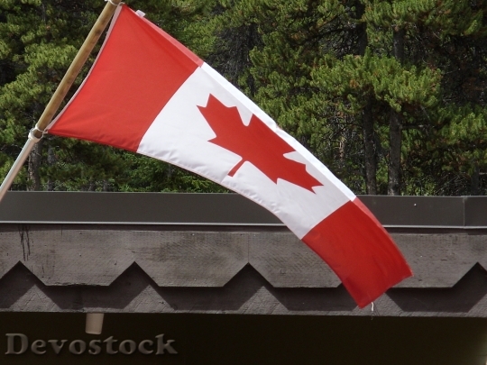 Devostock Canada Canadian Flag Maple