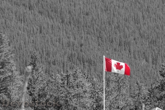 Devostock Canada Canadian Flag National