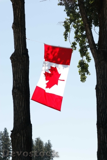 Devostock Canada Day Canada Canadian