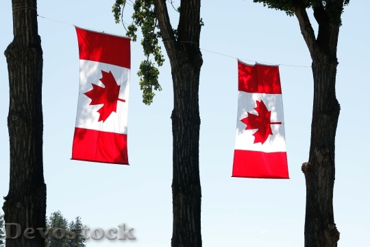 Devostock Canada Day Canada Flag