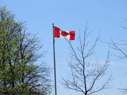 Devostock Canadian Flag Canada Flag 0