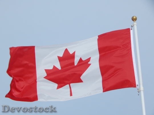 Devostock Canadian Flag Canada Flag