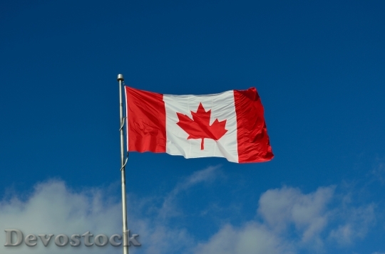 Devostock Canadian Flag Canada Maple