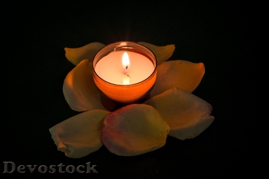 Devostock Candle Rose Tealight Quiet