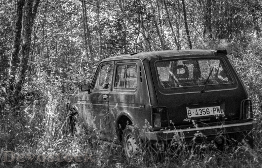 Devostock Car Abandoned Weed Old