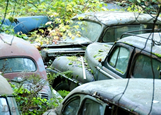 Devostock Car Cemetery Old Cars