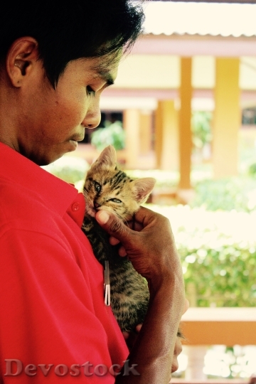 Devostock Cat Kitten Cat Baby Asian Man