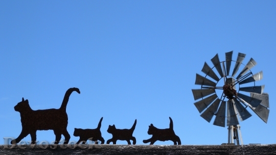 Devostock Cats Black Silhouette Windmill