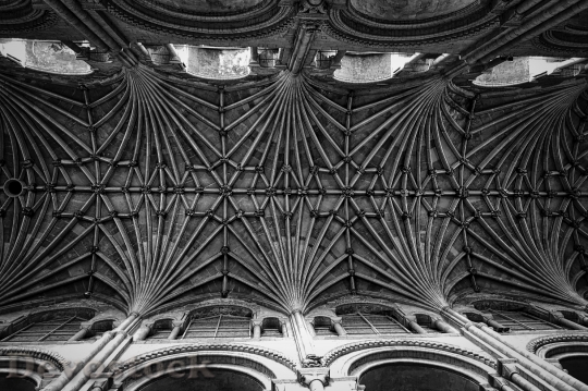 Devostock Ceiling Norwich Cathedral Classical
