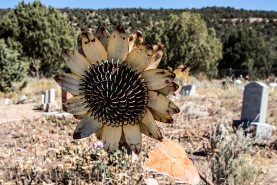 Devostock Cemetery Sunflower Metal Grave