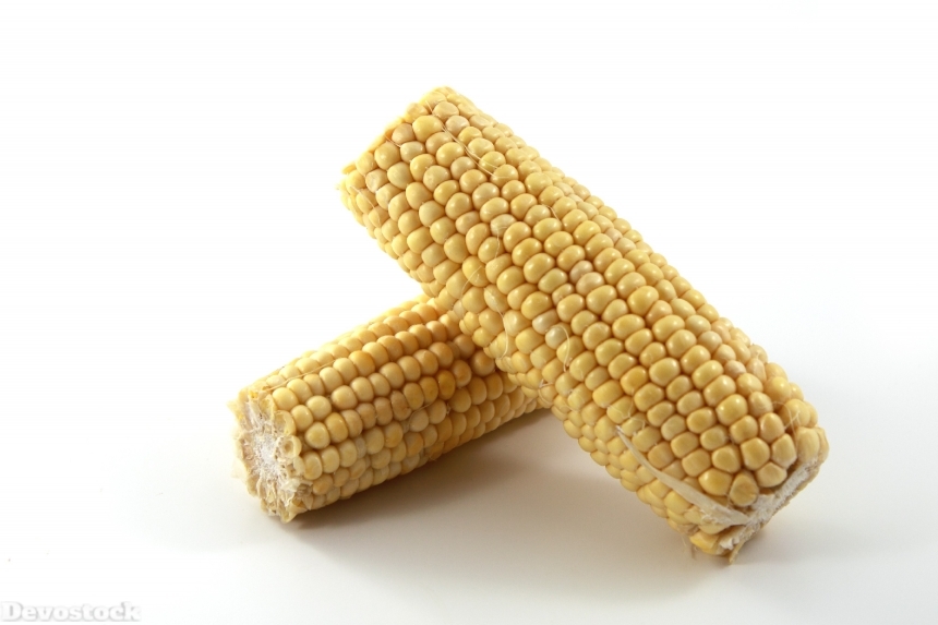 Devostock Cereal Corn Crop Eating