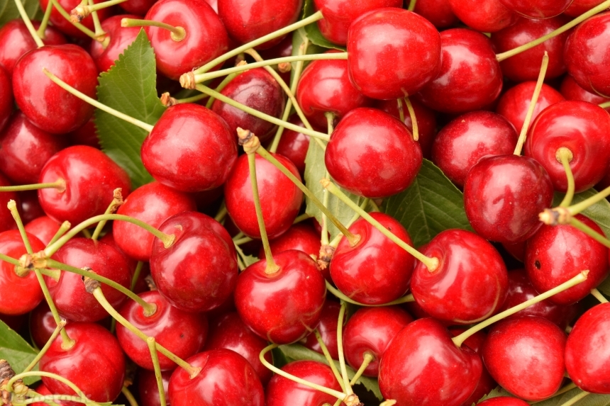 Devostock Cherries Background Fruit Red
