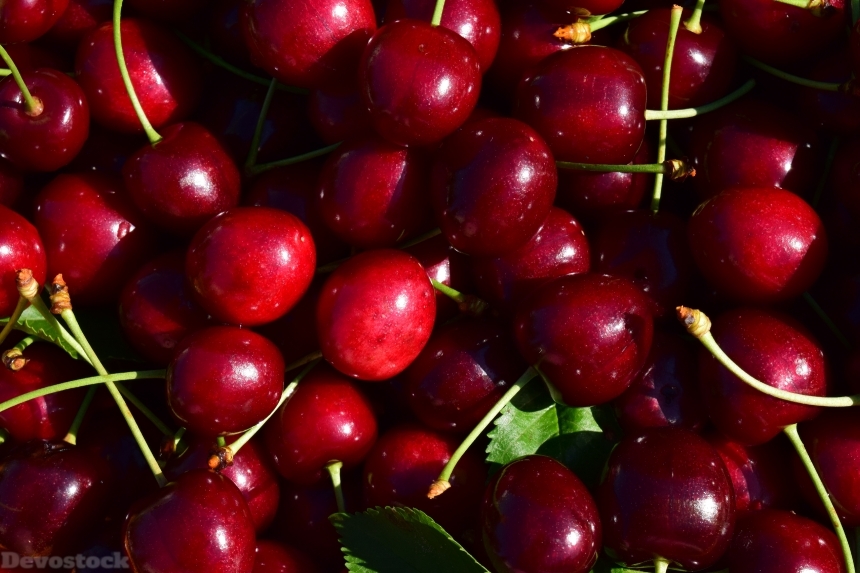 Devostock Cherries Close Nature Fruit 0