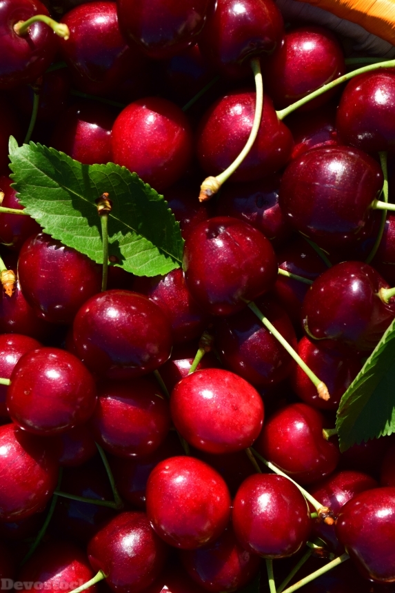 Devostock Cherries Close Nature Fruit