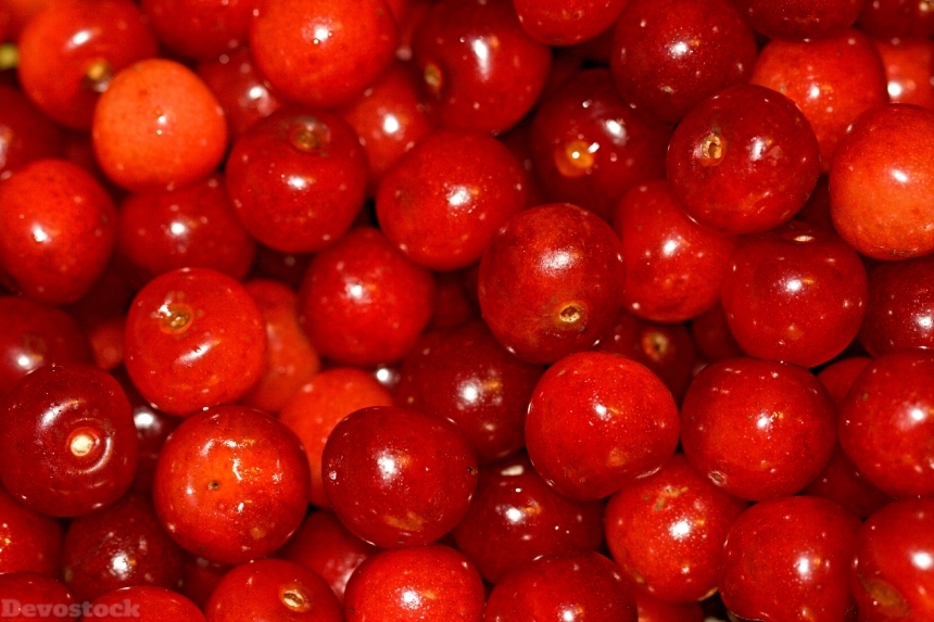 Devostock Cherries Food Season Wild