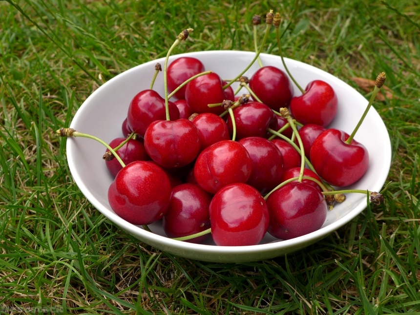 Devostock Cherries Fruit Pome Fruit