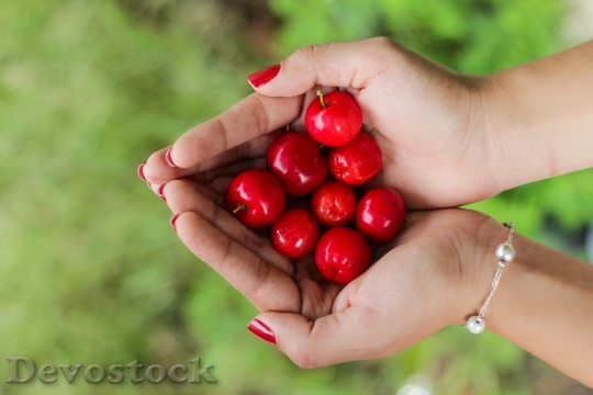 Devostock Cherries Handful Red Ripe