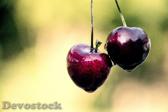 Devostock Cherries Red Cherry Nature 0