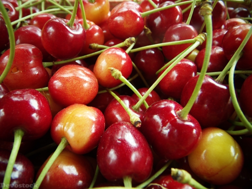 Devostock Cherries Red Macro Fruit