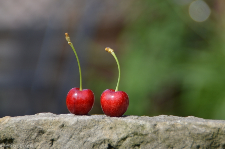 Devostock Cherry Delicious Sweet Healthy